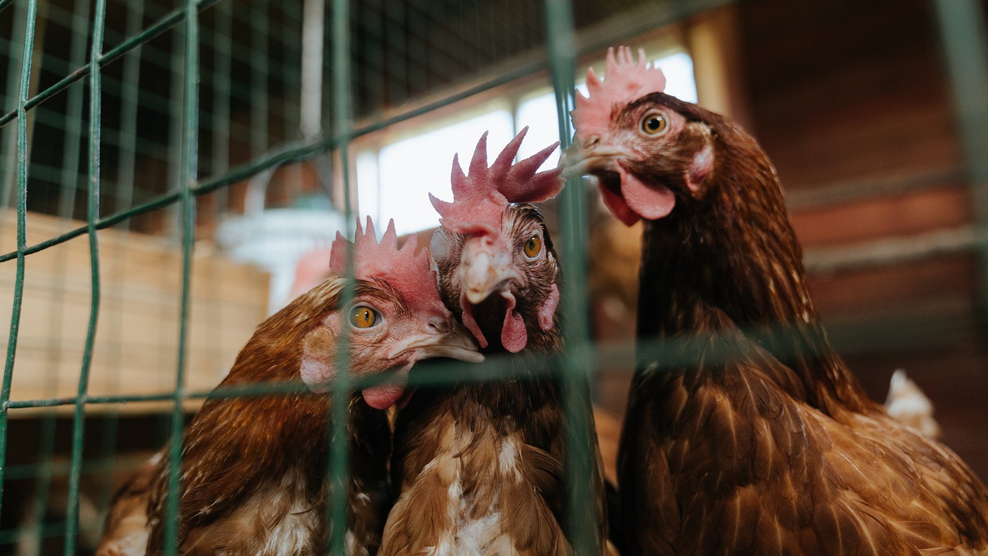 基层足球发展受教育体制影响，发展足球事业的三个目标